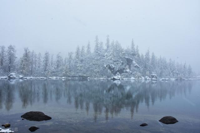1月31日，河南郑州。漫天飞舞的雪花如约而至。正值春运返乡季，要注意防寒保暖。“好羡慕第一批已经回家过年的人啊”